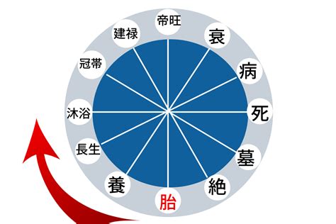 食神 長生|四柱推命｜十二運の「長生(ちょうせい)」とは？性格 